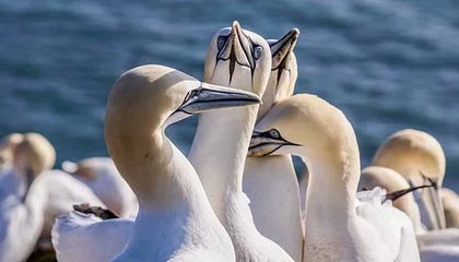 汉得信息:公司暂无机器人概念