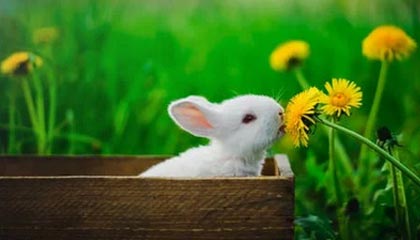 【机构调研记录】富荣基金调研卓易信息、汉得信息