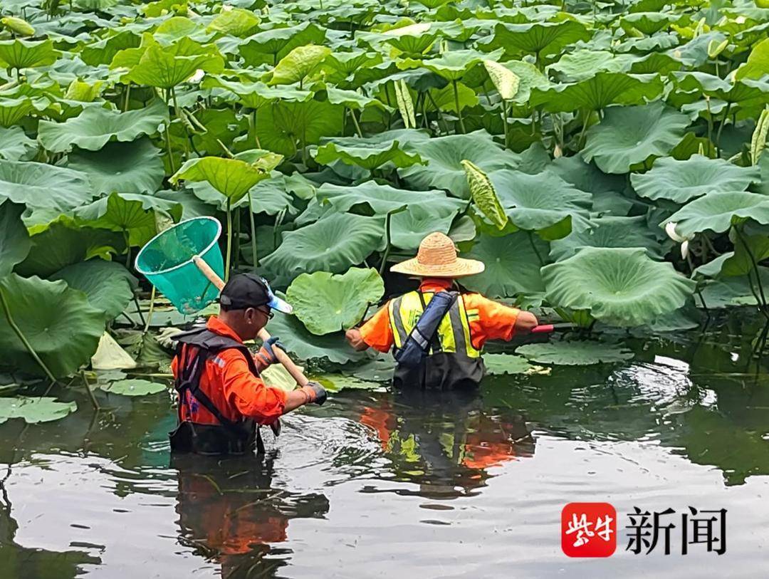 组图｜水陆联动清剿“生态杀手”