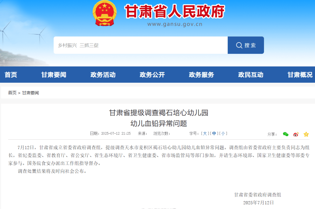 甘肃省提级调查褐石培心幼儿园幼儿血铅异常问题