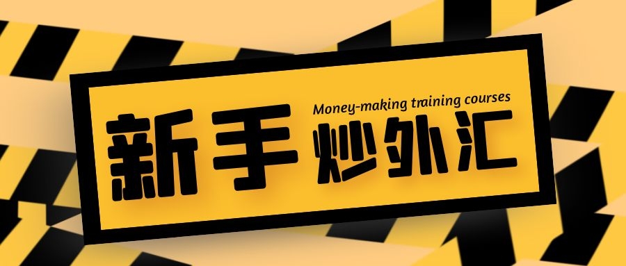怎么抄外汇(个人怎么炒外汇)