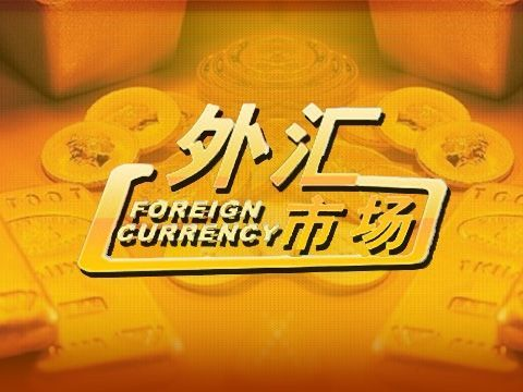 海豚外汇(海豚交易系统赚钱吗)