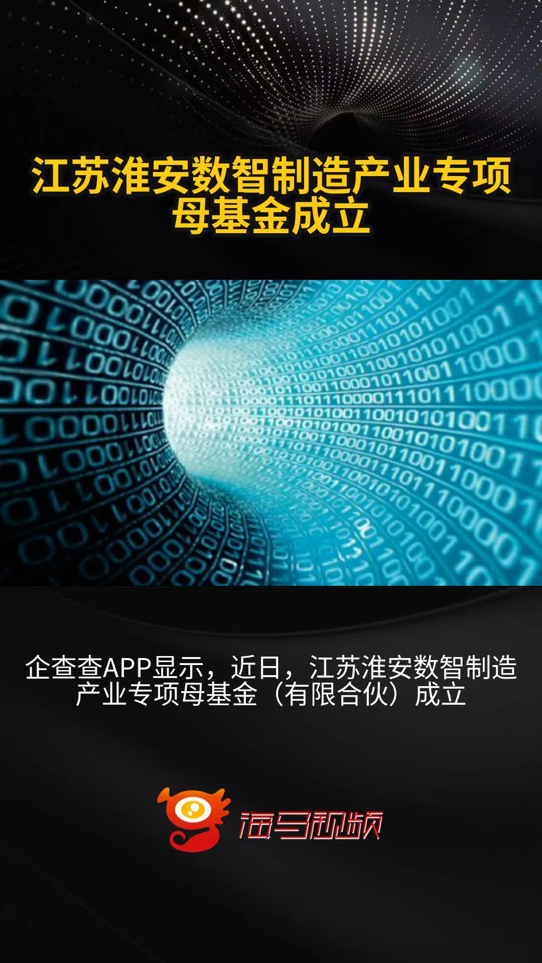 证券母基金(母基金 s基金)